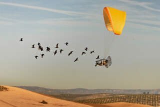 Wissenschaftsfotografie Wettbewerb: Zwischen Himmel, Meer und Mikroskop