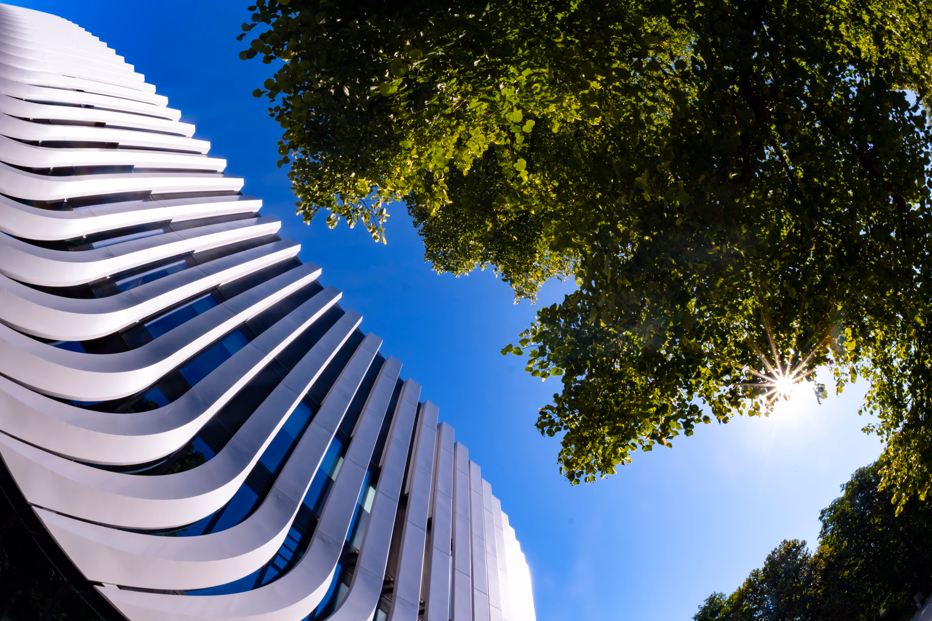 Moderne Architektur und grüne Bäume unter blauem Himmel