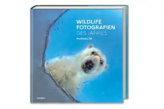 Wildlife Photographer of the Year 2026: Ein Bild, das unter die Haut geht