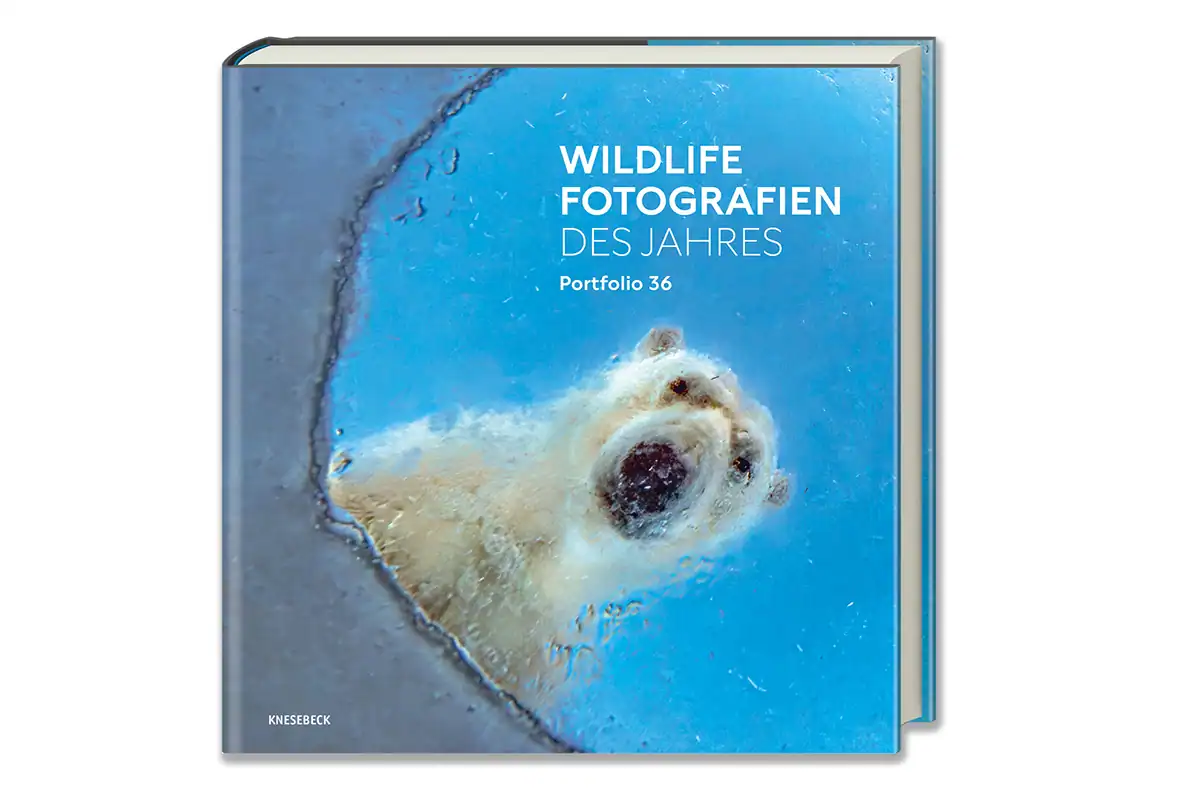 Wildlife Photographer of the Year 2026: Ein Bild, das unter die Haut geht